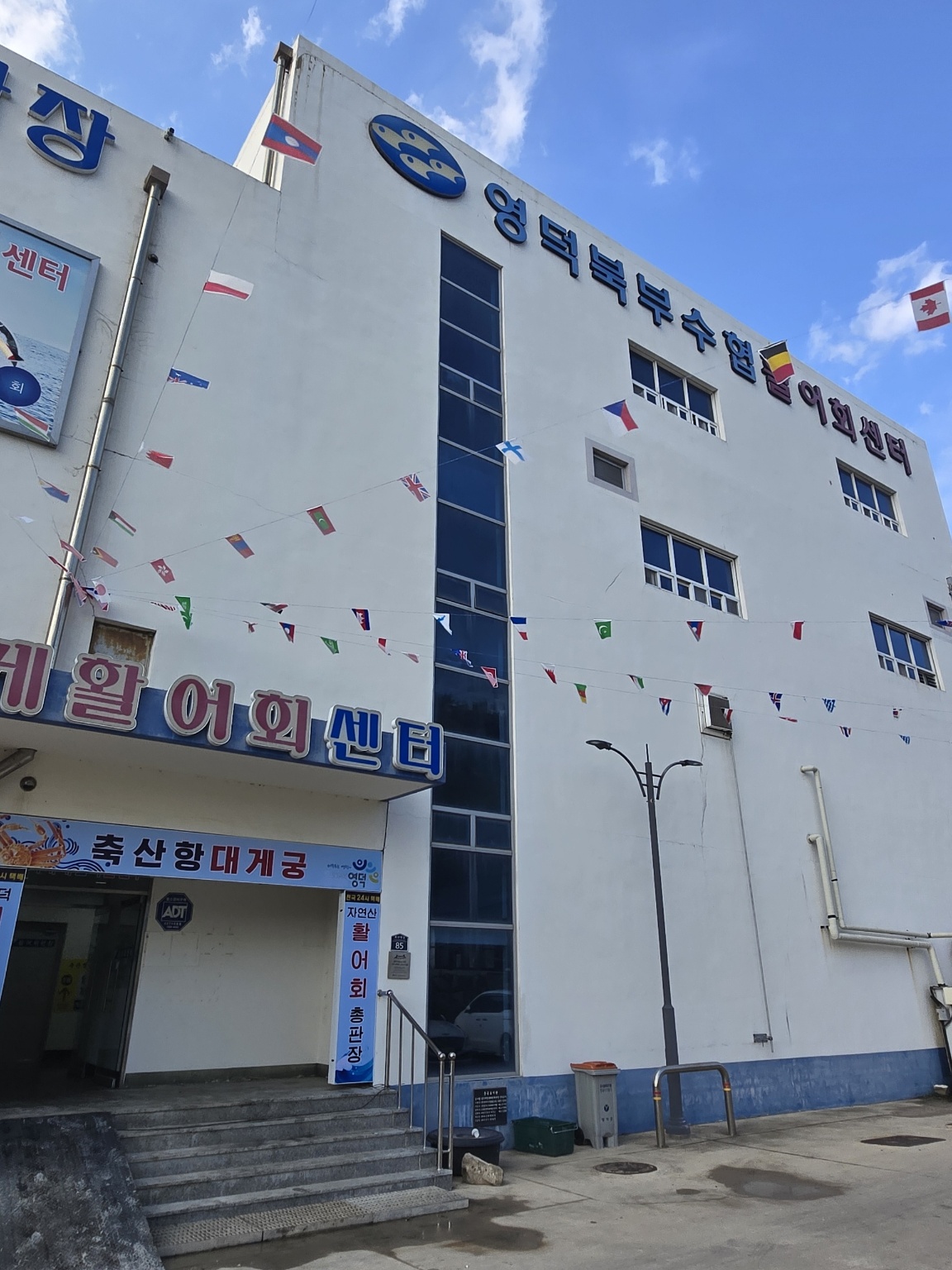 갤러리 사진